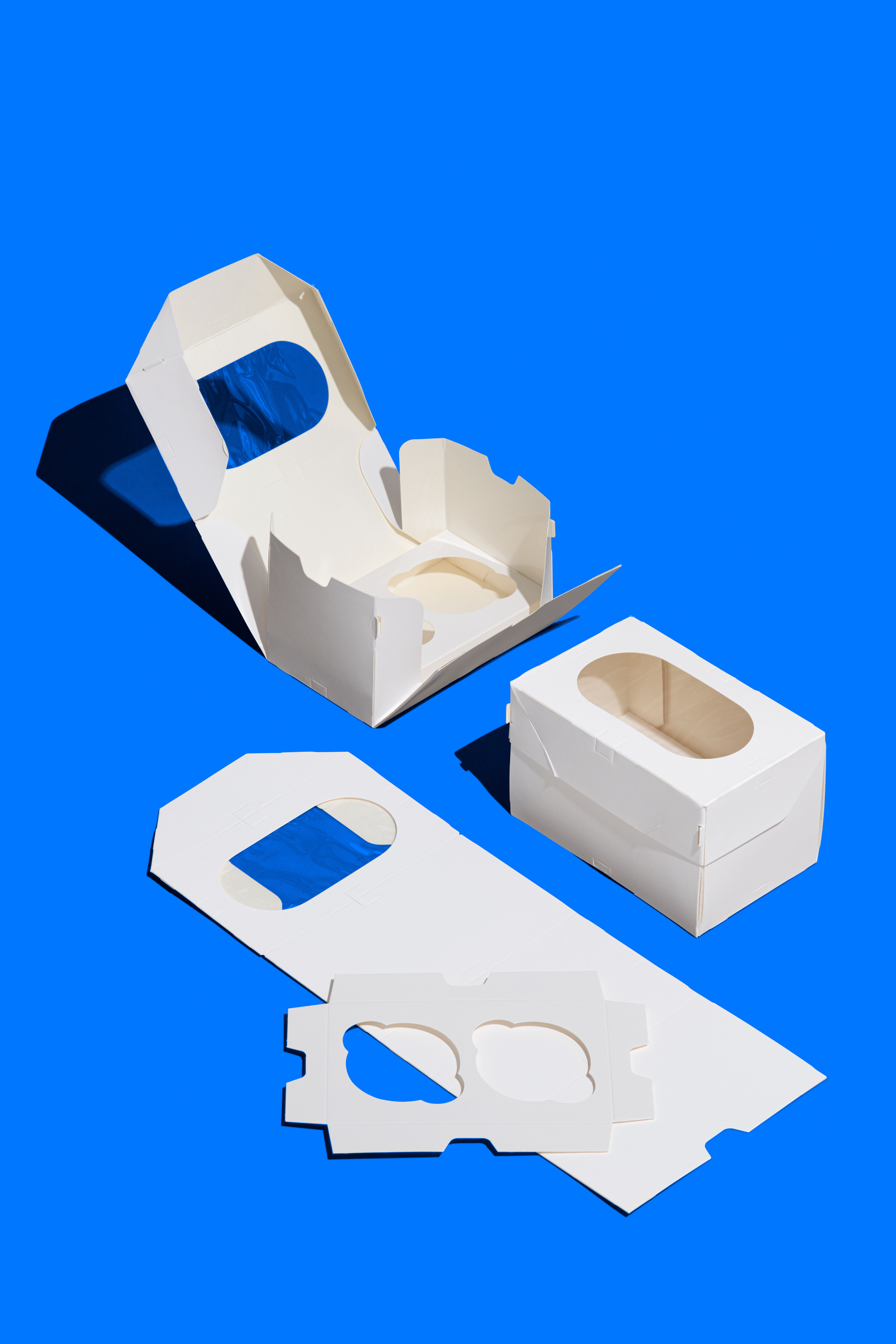 FORGENICA_PRODUCT-1197.jpg