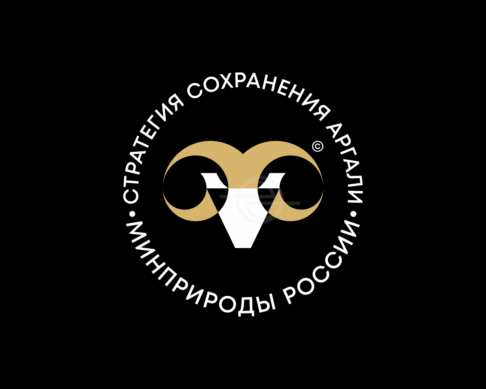 Стратегия сохранения аргали | Минприроды РФ