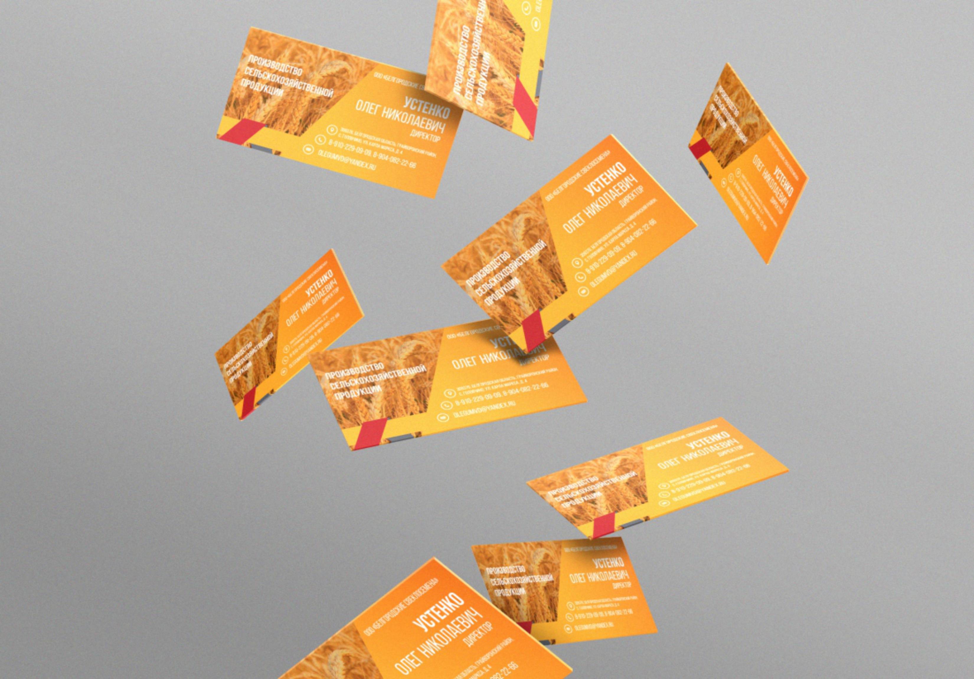 визитка устенко.png