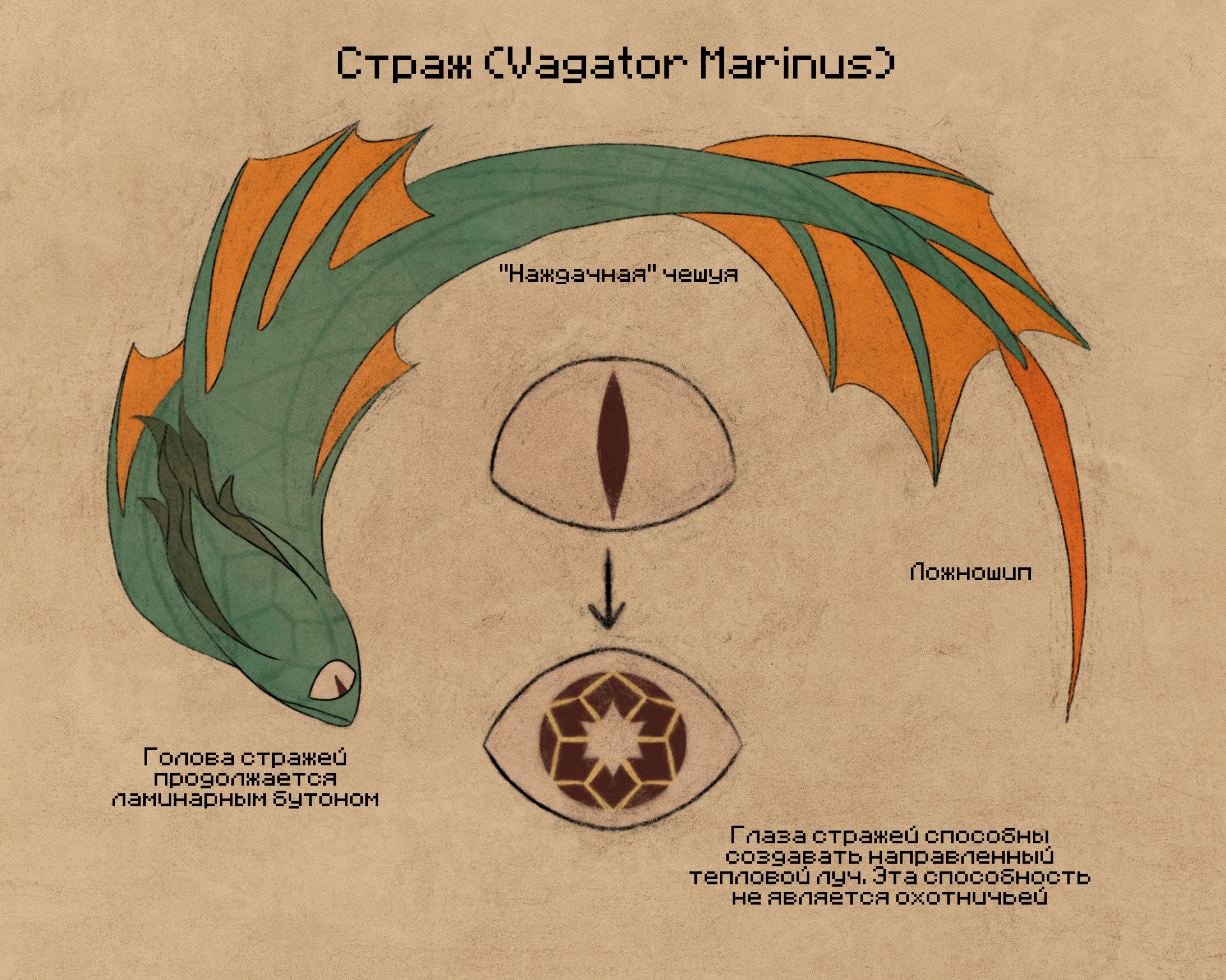Ответ16_3.png