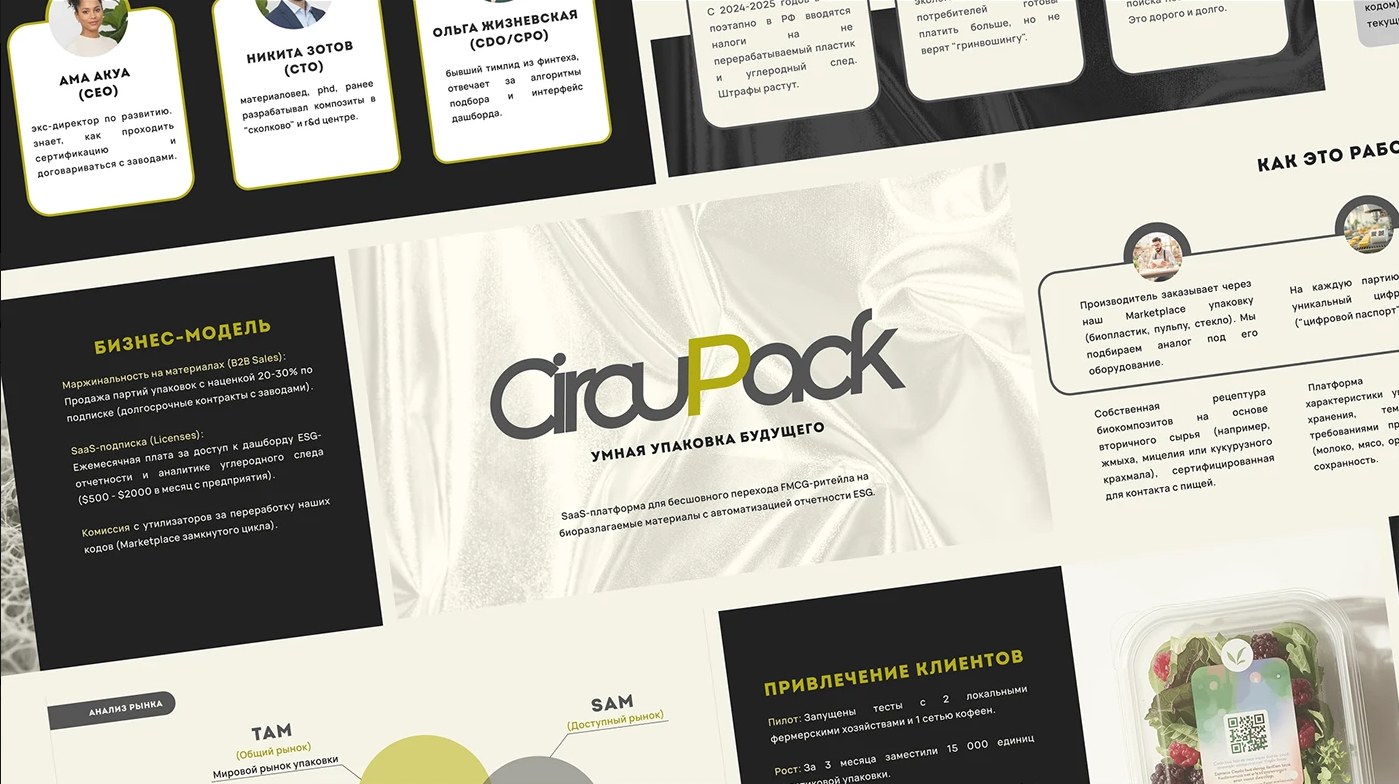 Презентация, которая вызывает доверие у консервативных инвесторов и выглядит технологично и инновационно.