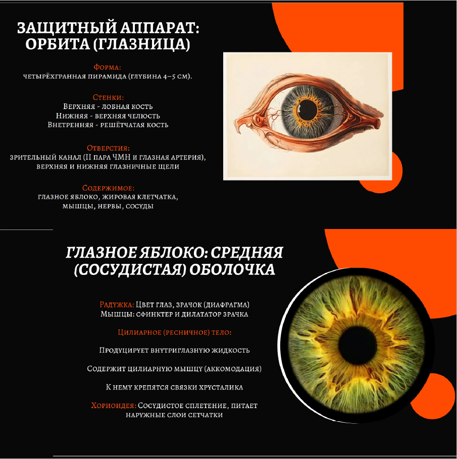 Презентации