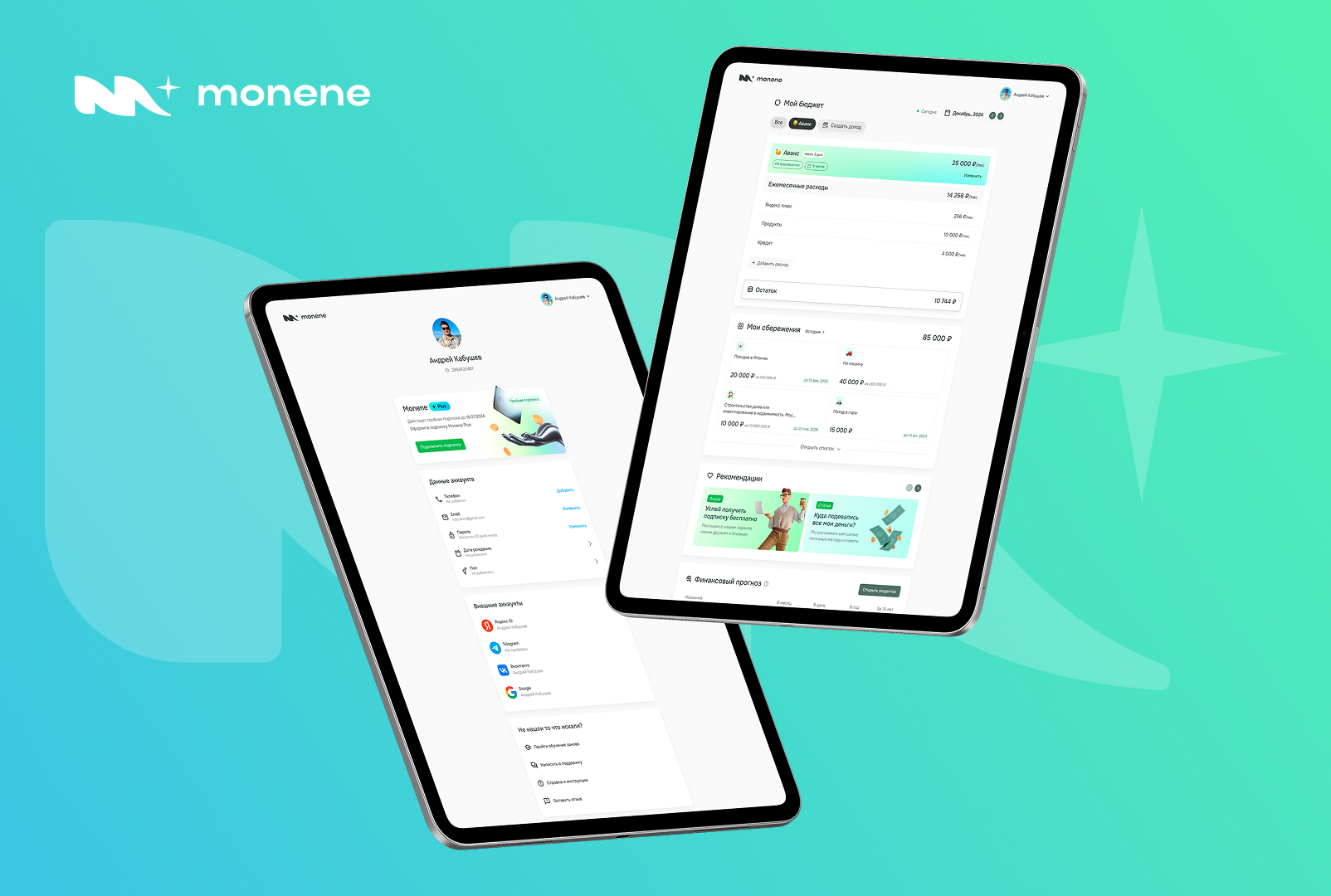 Система учета финансов Monene