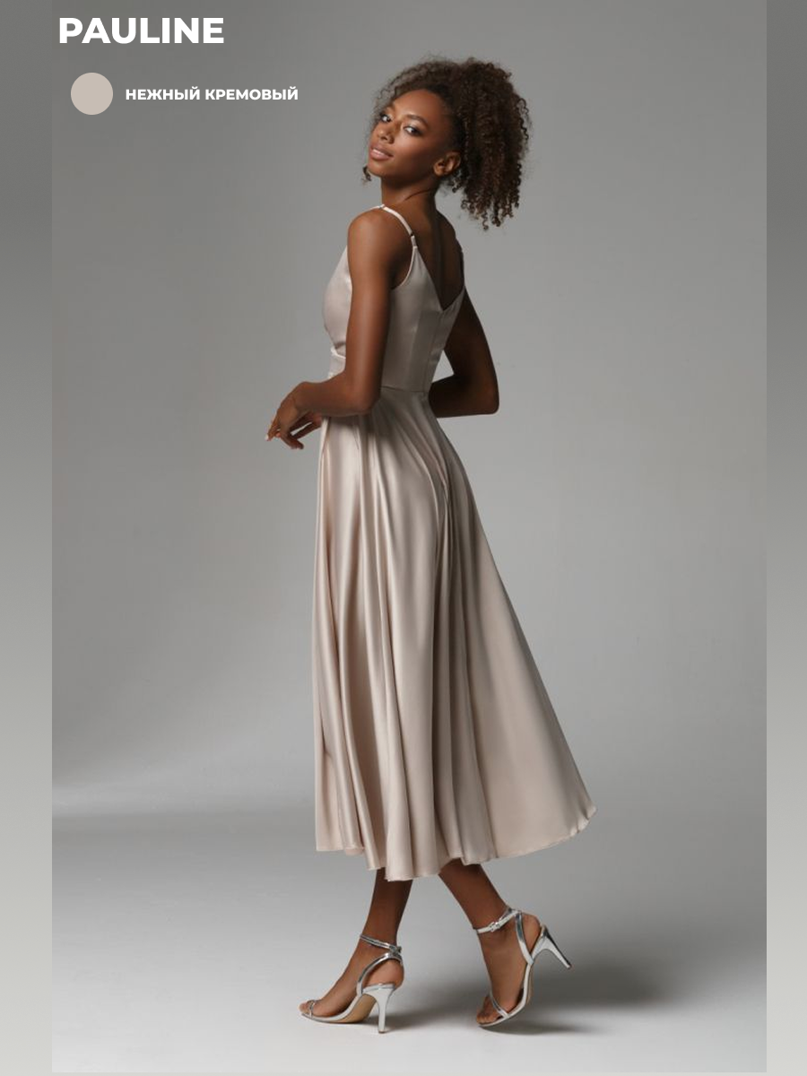 ПАУЛИН 1.1.png