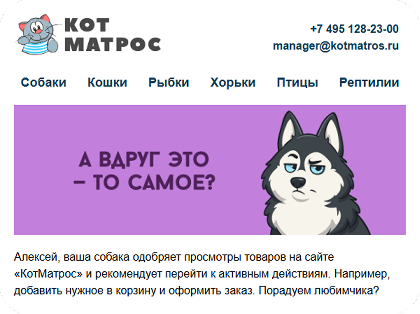 image-94270-2 1.png