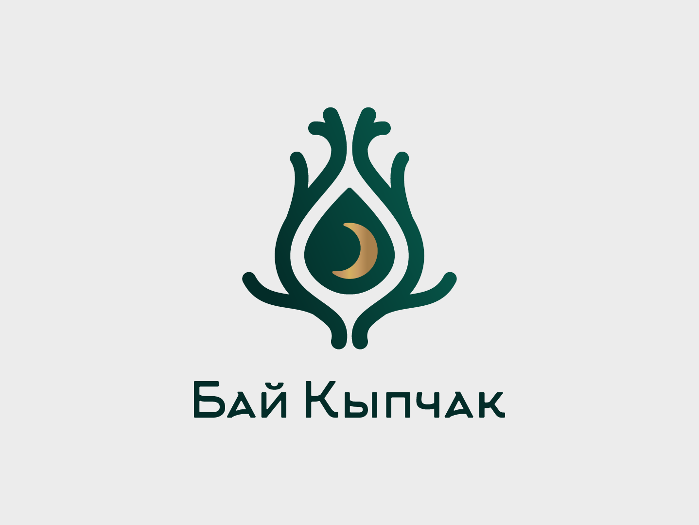 Разработка логотипа, фирменного стиля и серии упаковок для компании Бай Кыпчак