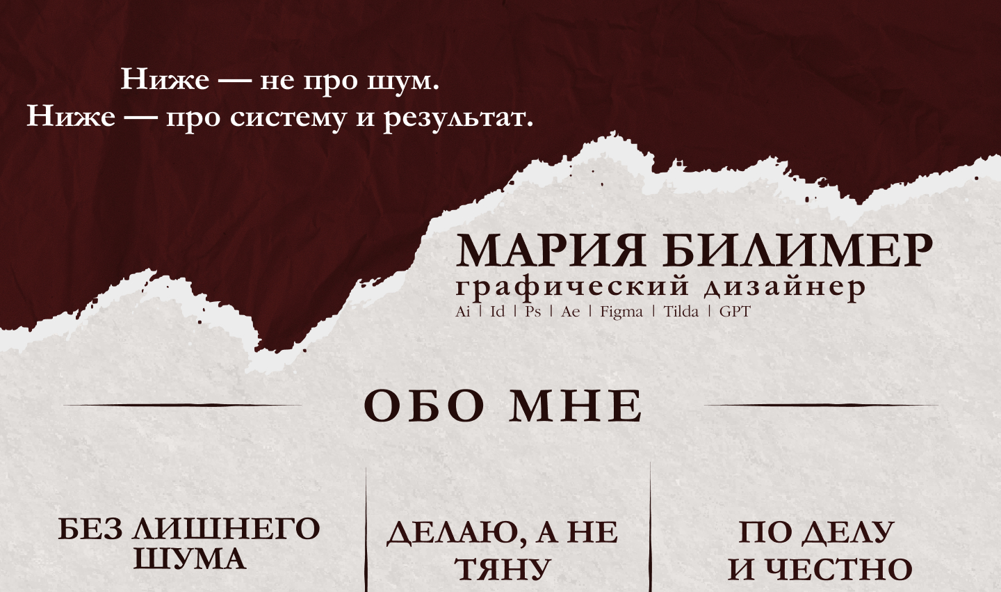 слайд  портфолио 2.jpg