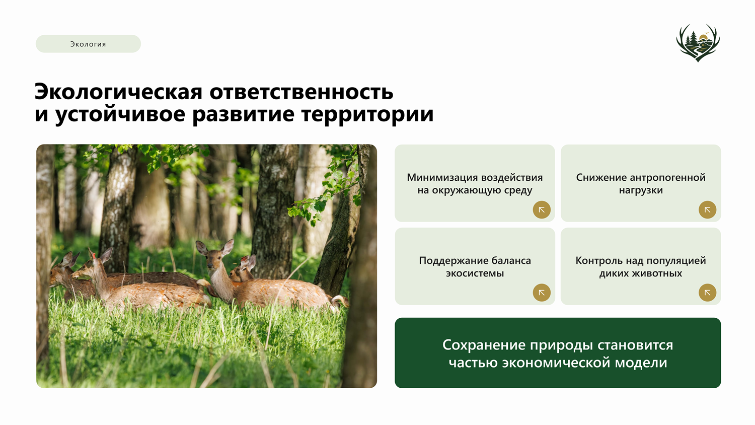 Слайд10.PNG