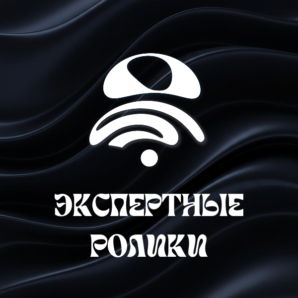 Экспертные ролики