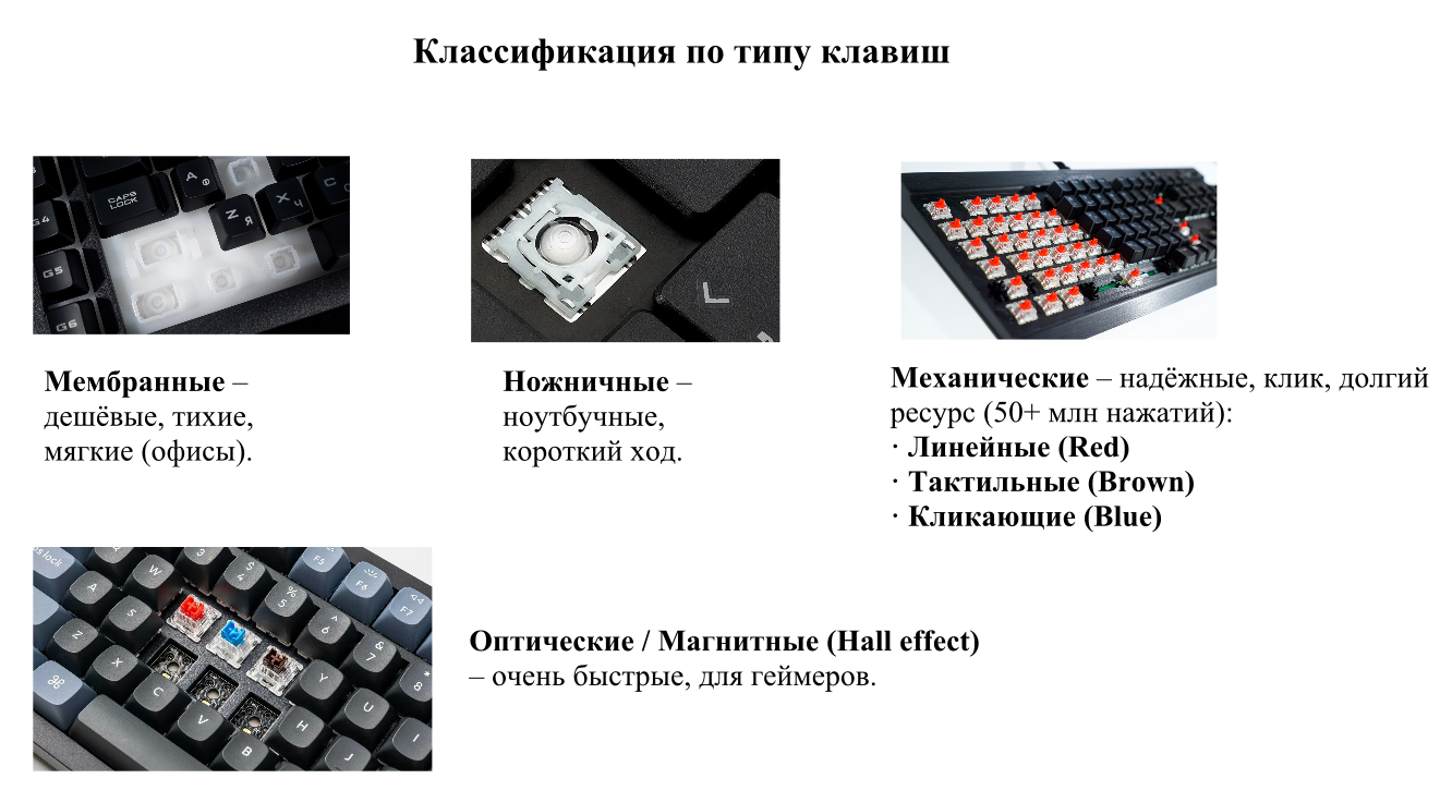 изображение_2026-05-06_181130801.png