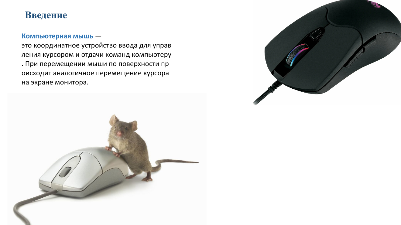 изображение_2026-05-06_182354996.png