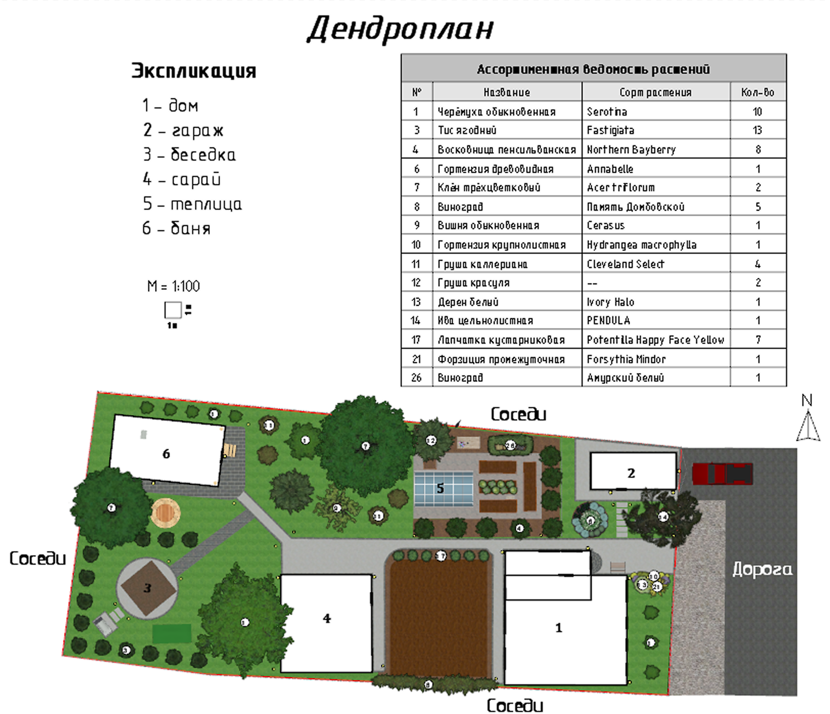 Дендроплан.png
