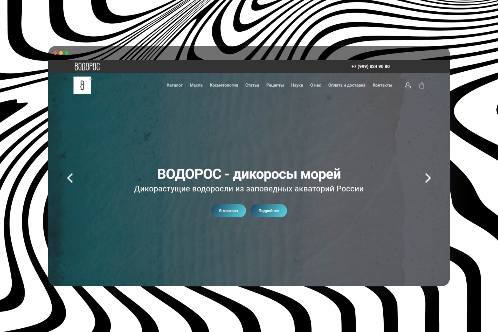 portfolio_shot_01.png