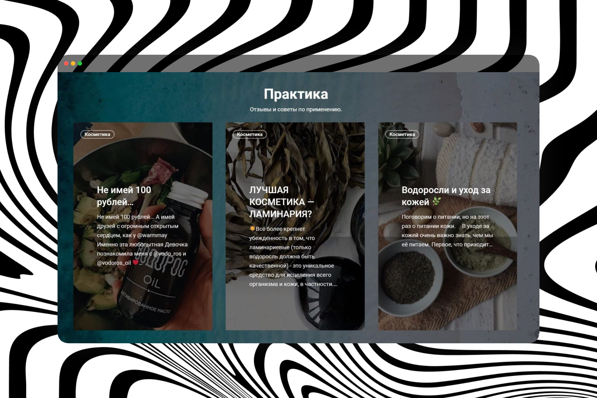 portfolio_shot_05.png