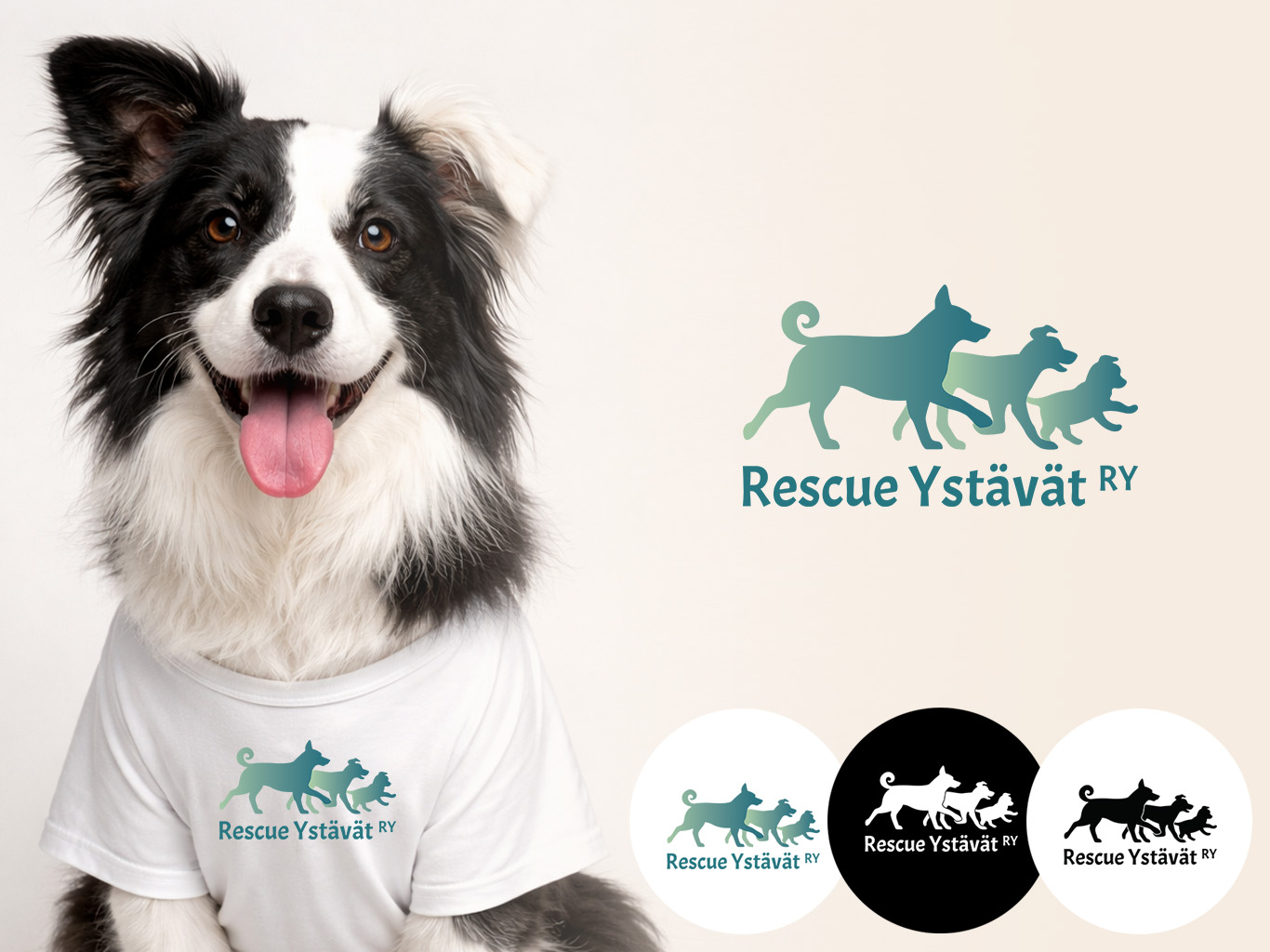 Ystavat_Rescue3.jpg