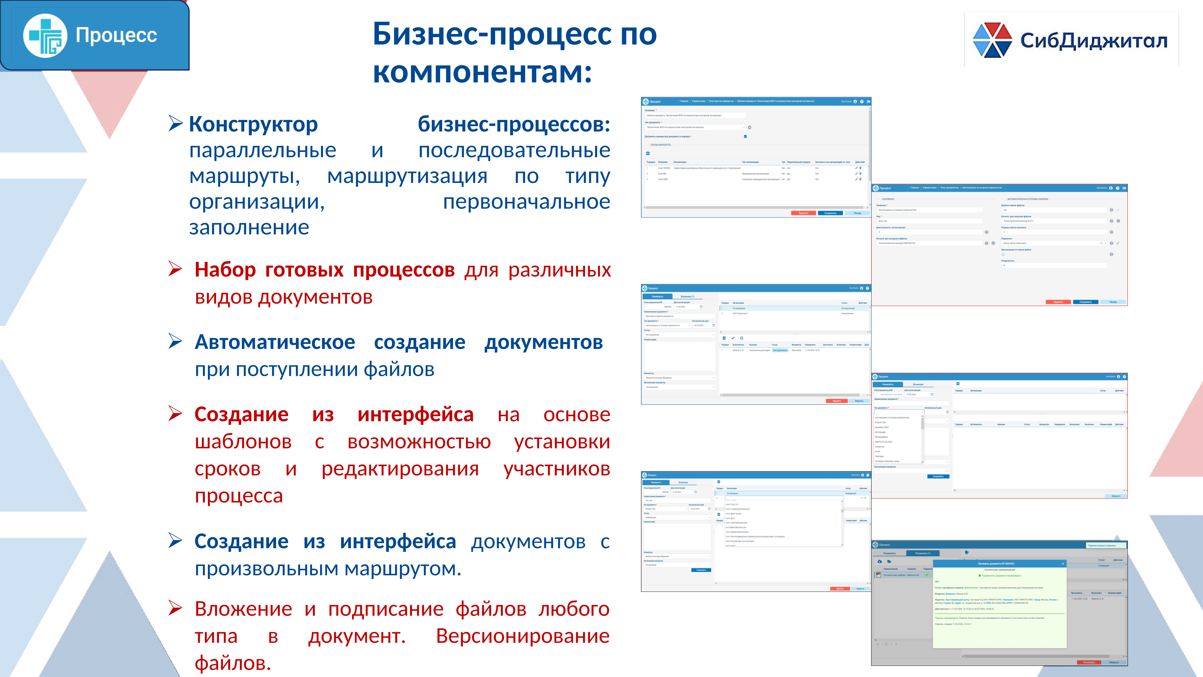 СЭД_06.png