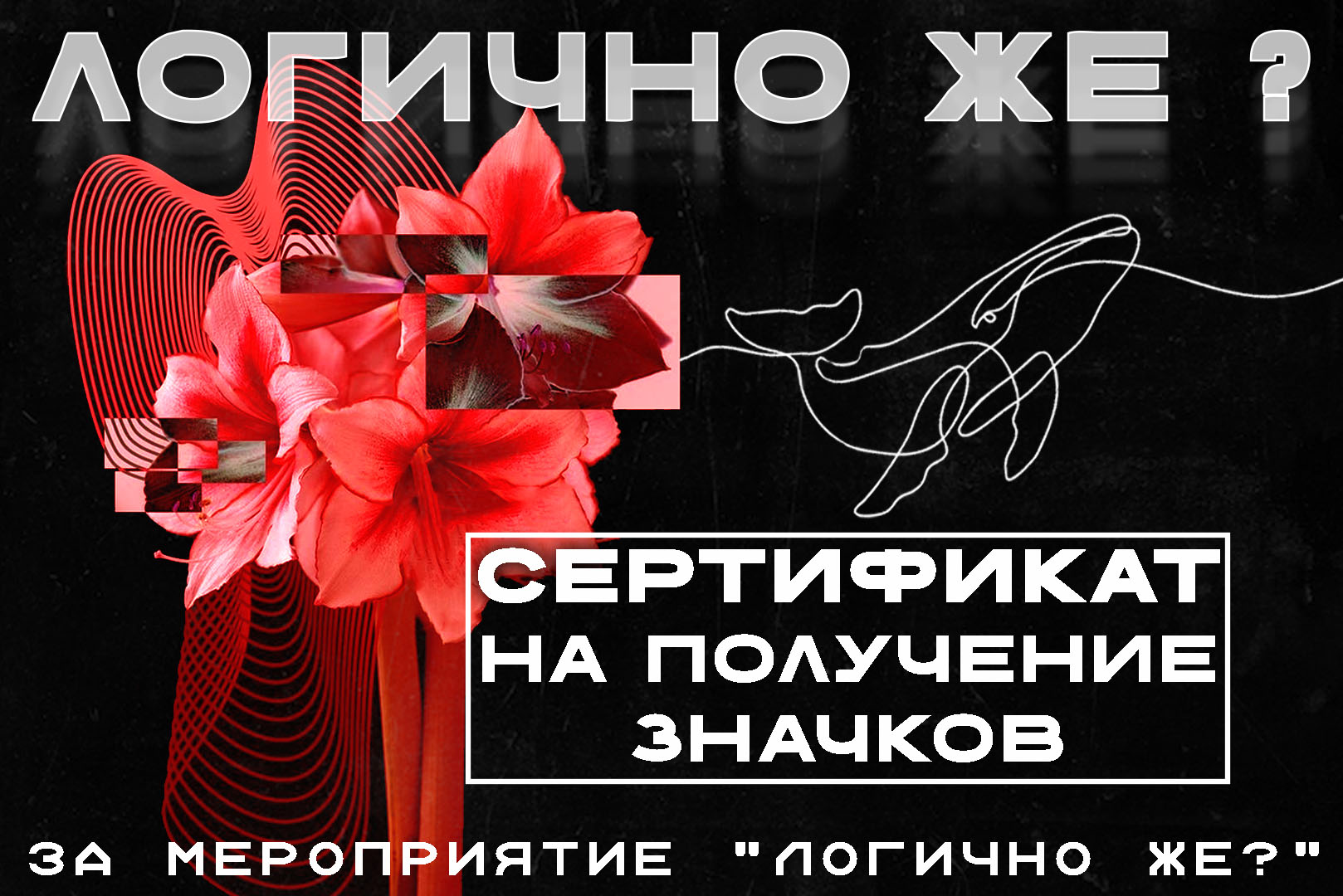Сертификат.jpg