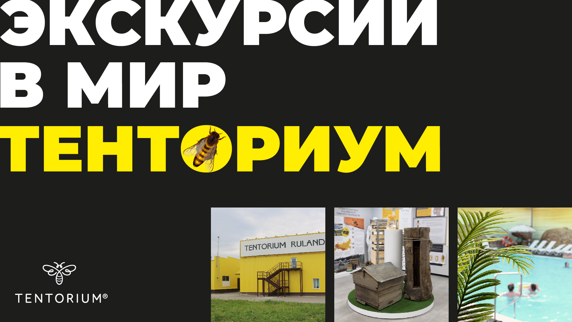 Тенториум_Экскурсионное_направление_01.jpg