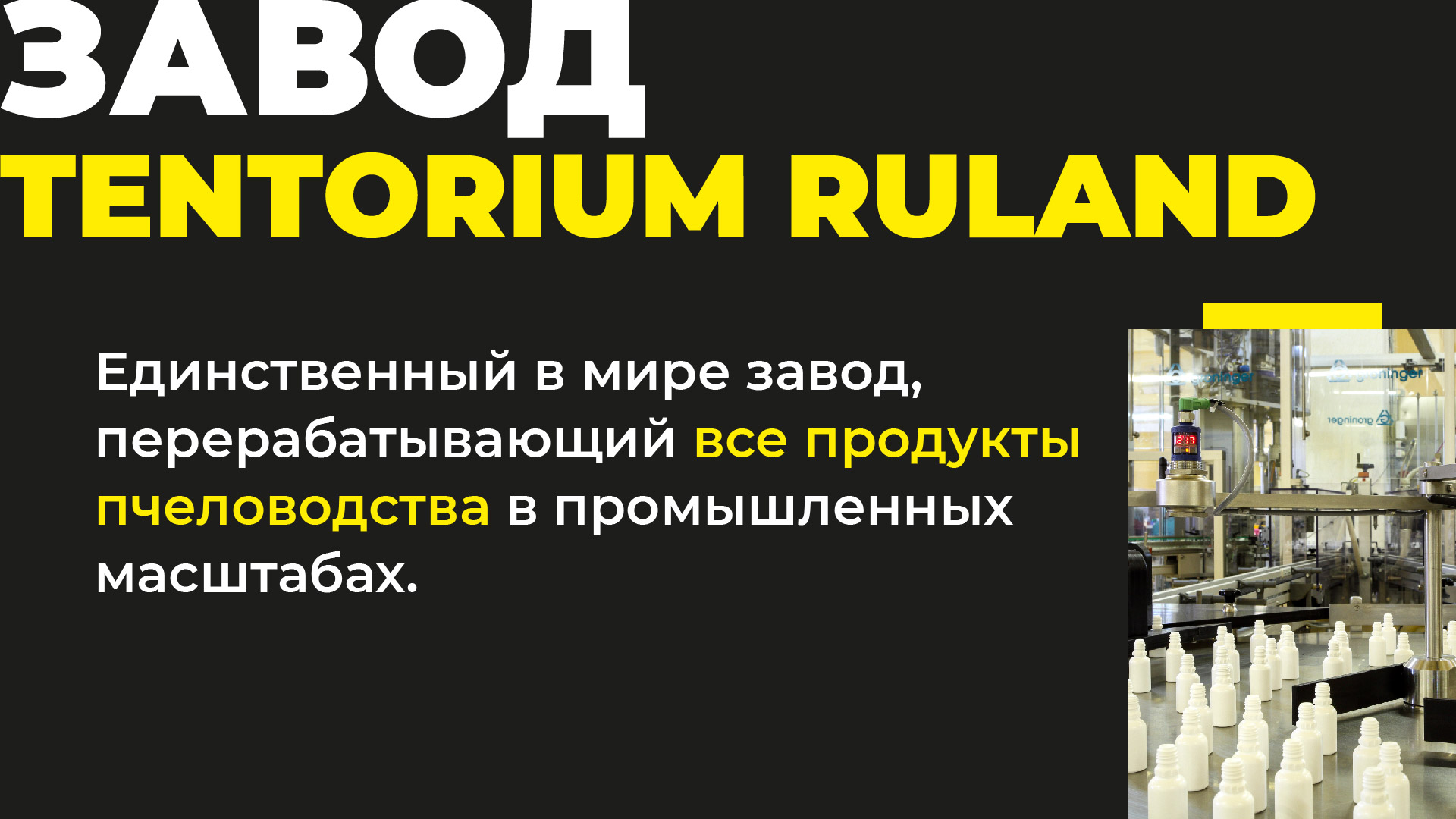 Тенториум_Экскурсионное_направление_04.jpg