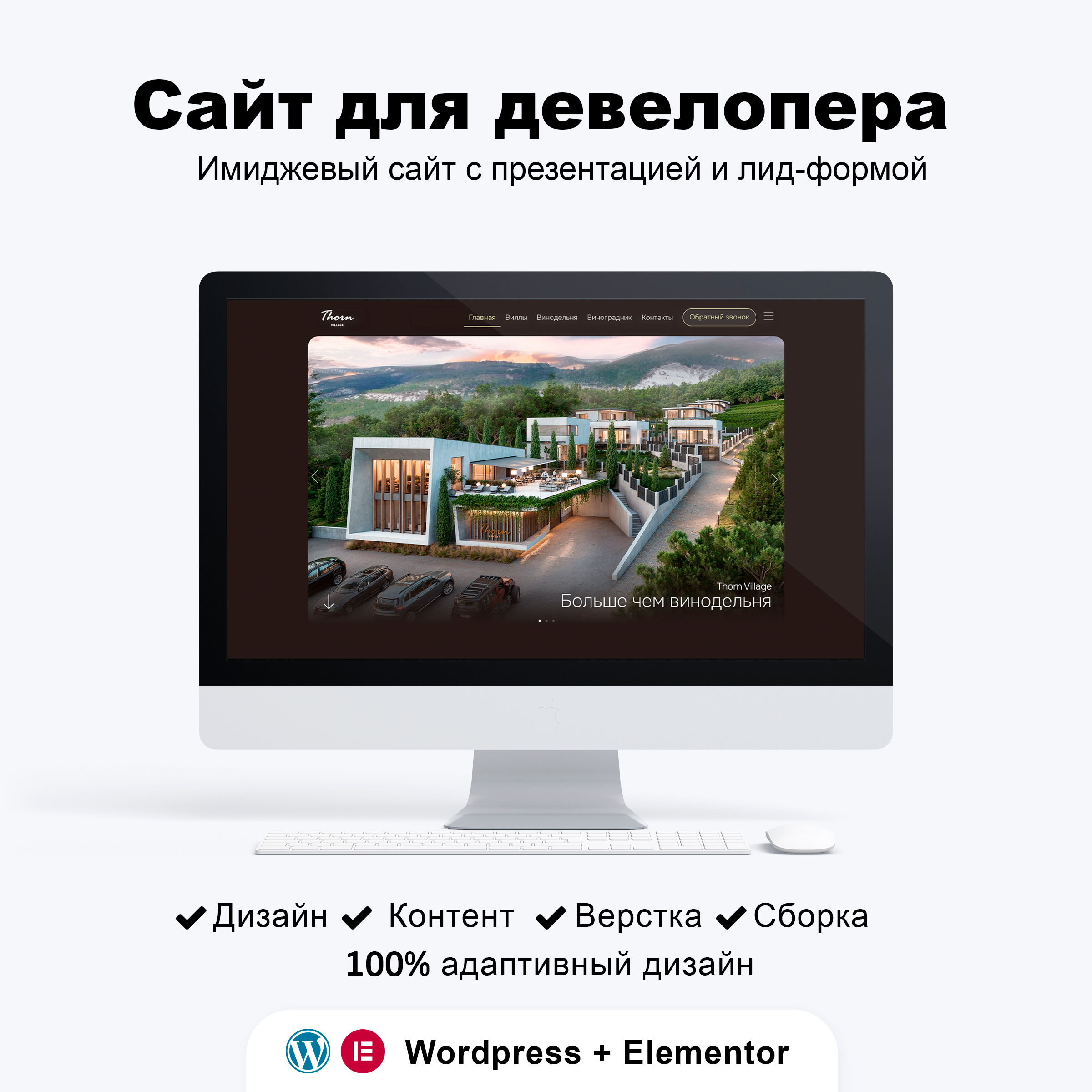 portfolio_kartochka_sayt_thorn.jpg
