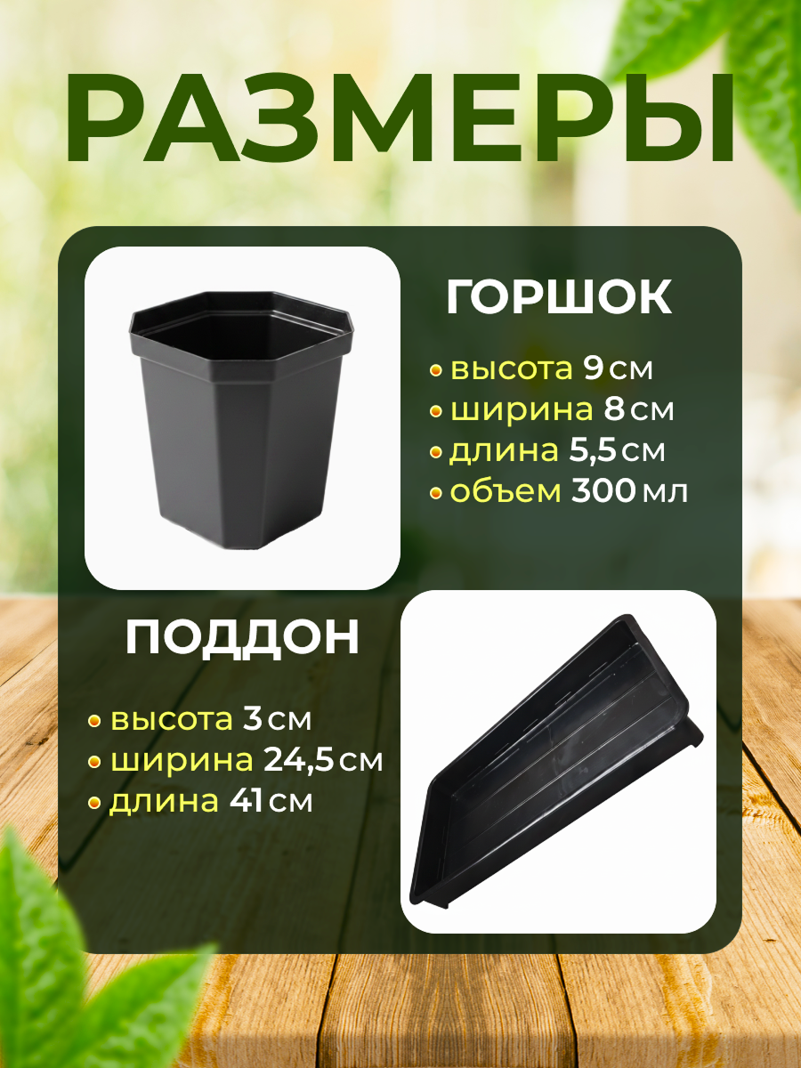 Слайд_2.png