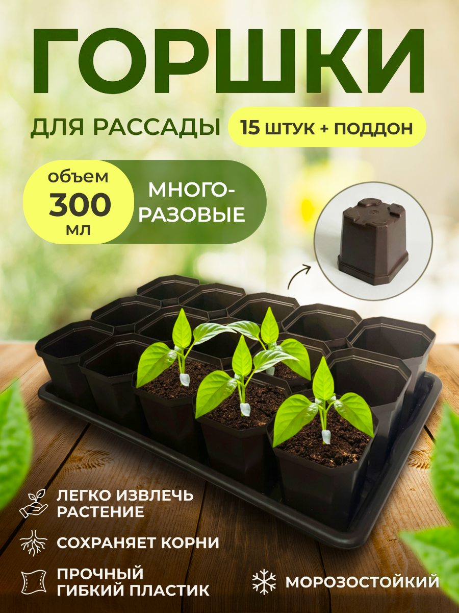 Обложка.png