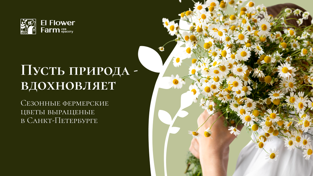 image_134.png