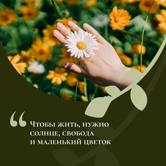 image_136.png