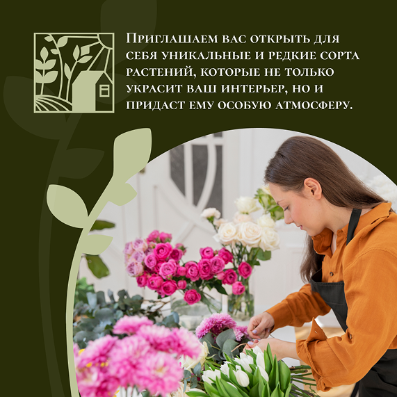 image_137.png