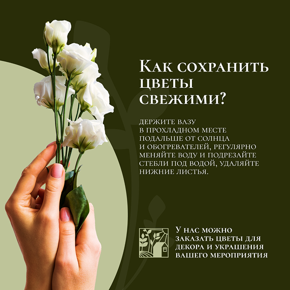 image_138.png