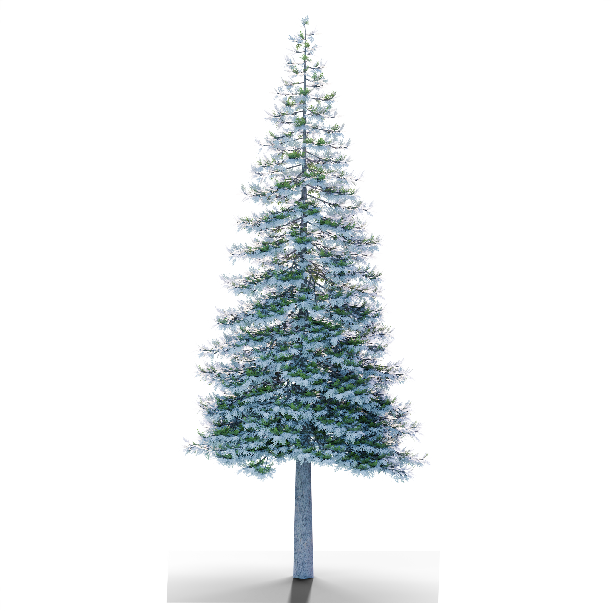 billboard_render_10_360.png