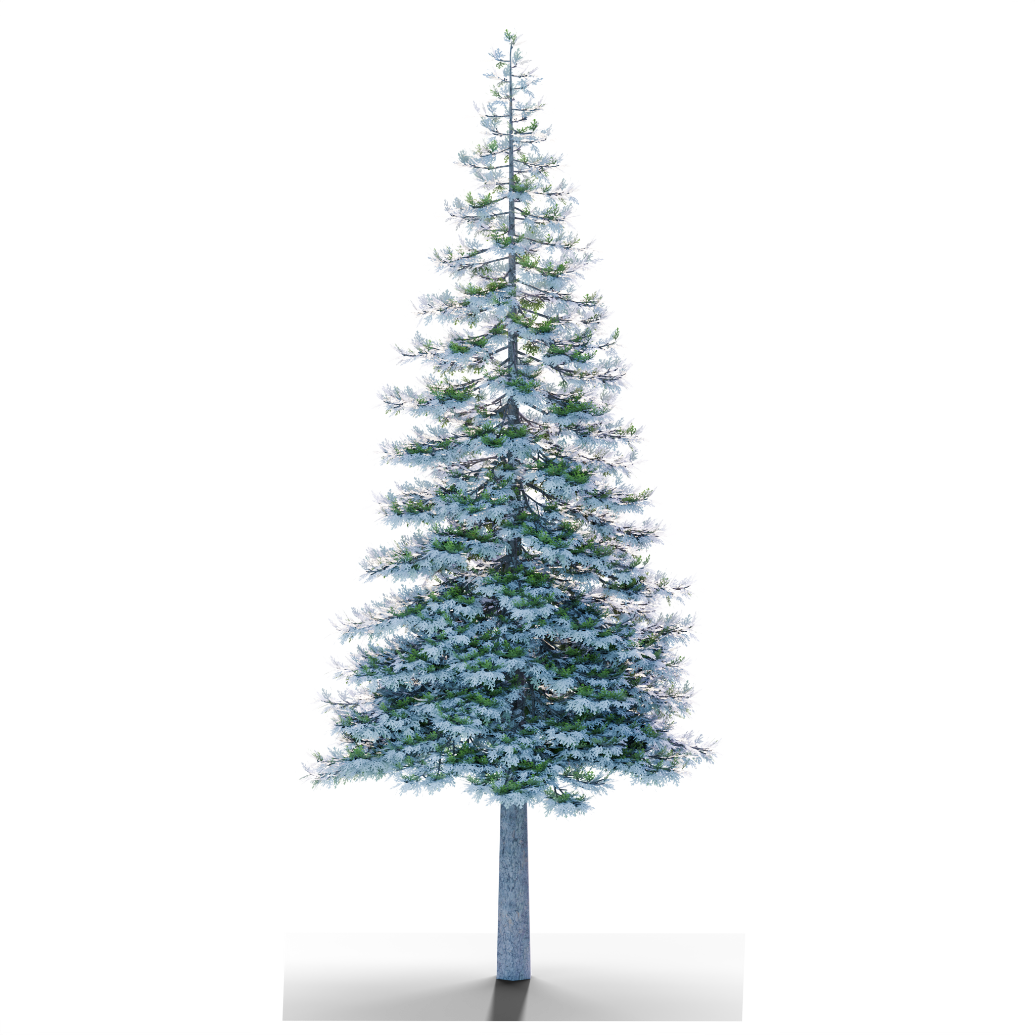billboard_render_8_180.png