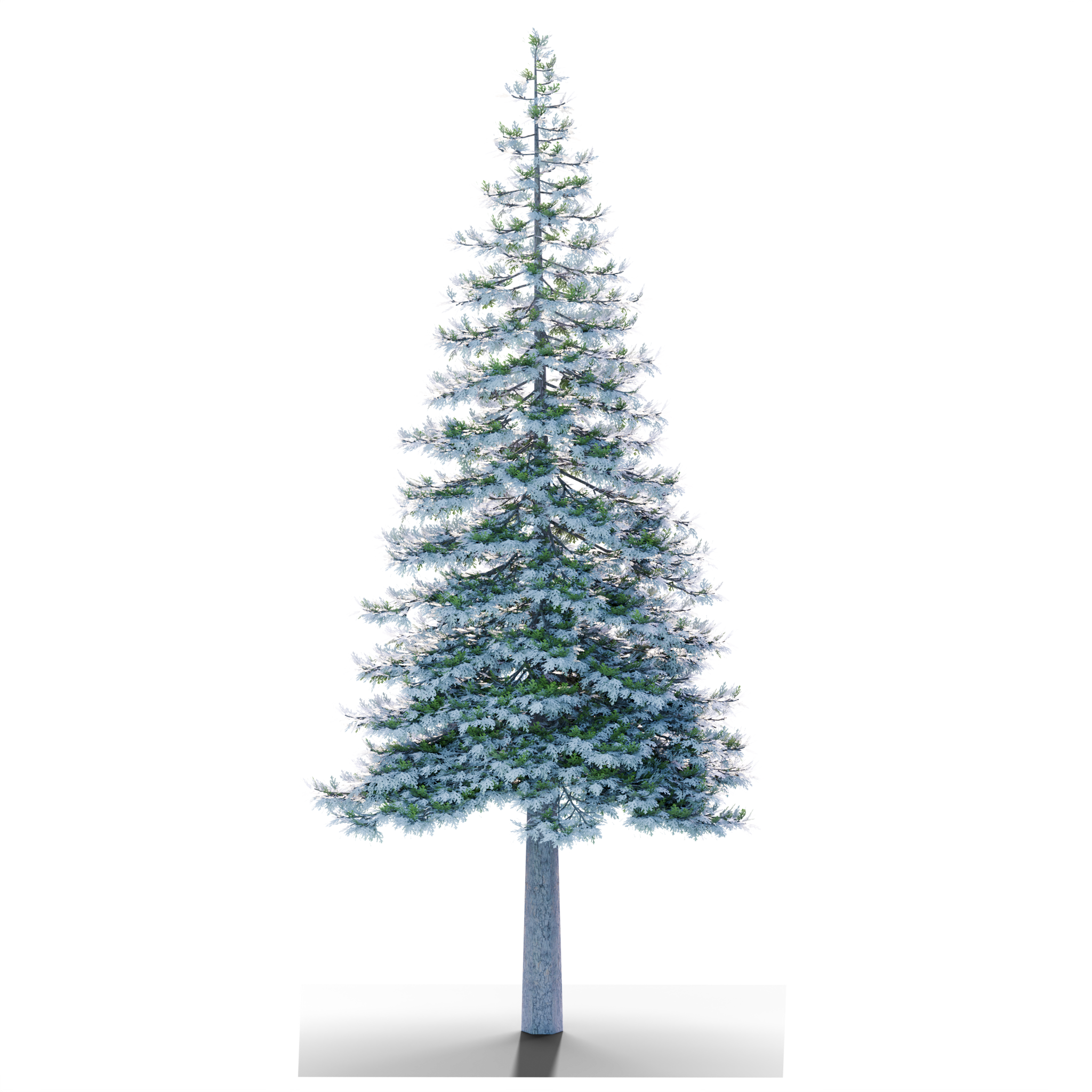 billboard_render_7_90.png