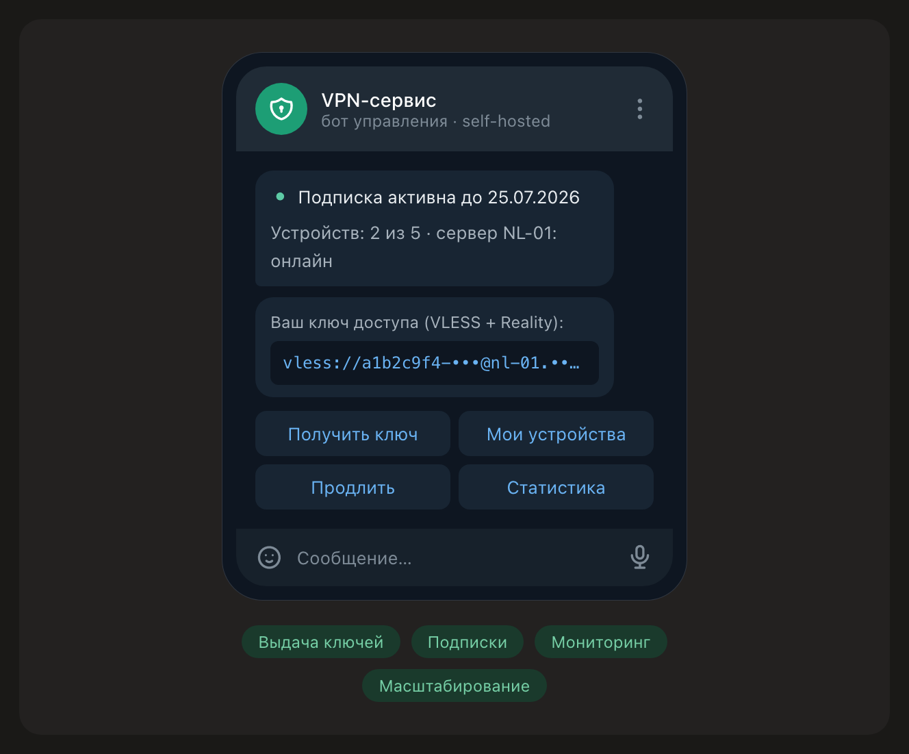12_vpn_bot.png