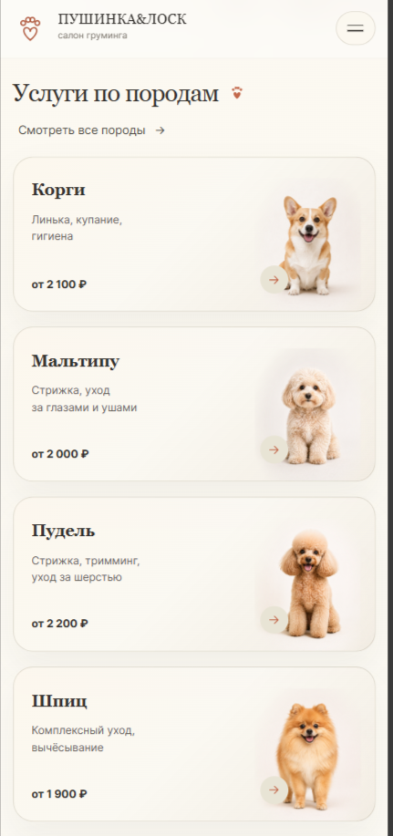 Услуги_Моб_версия_2.png
