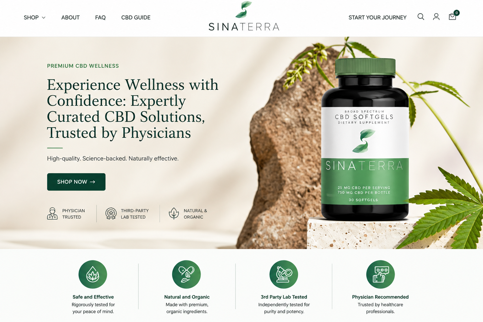 Разработка дизайна сайта для CBD