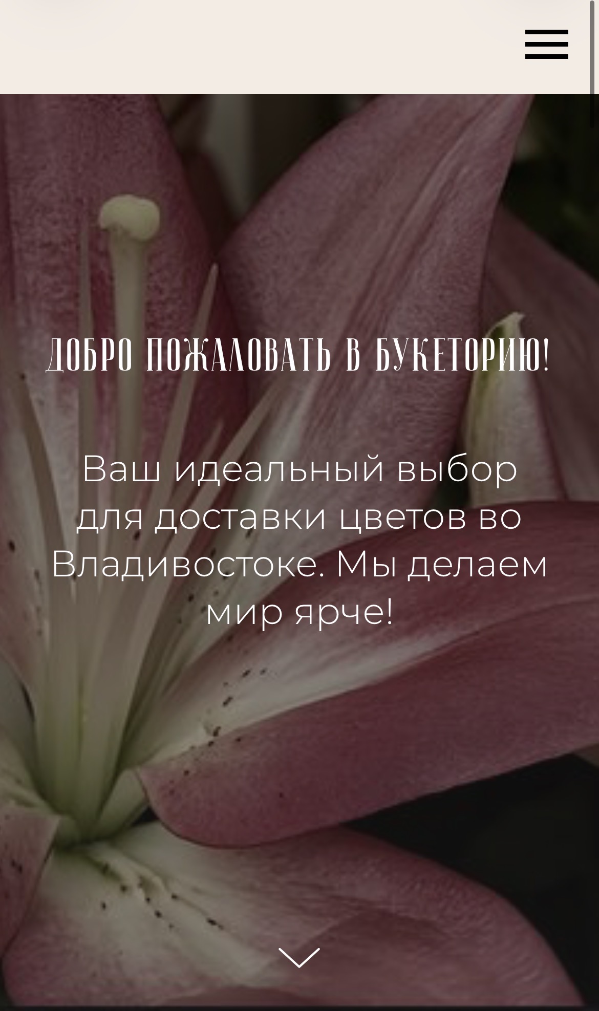 IMG_5523.jpeg