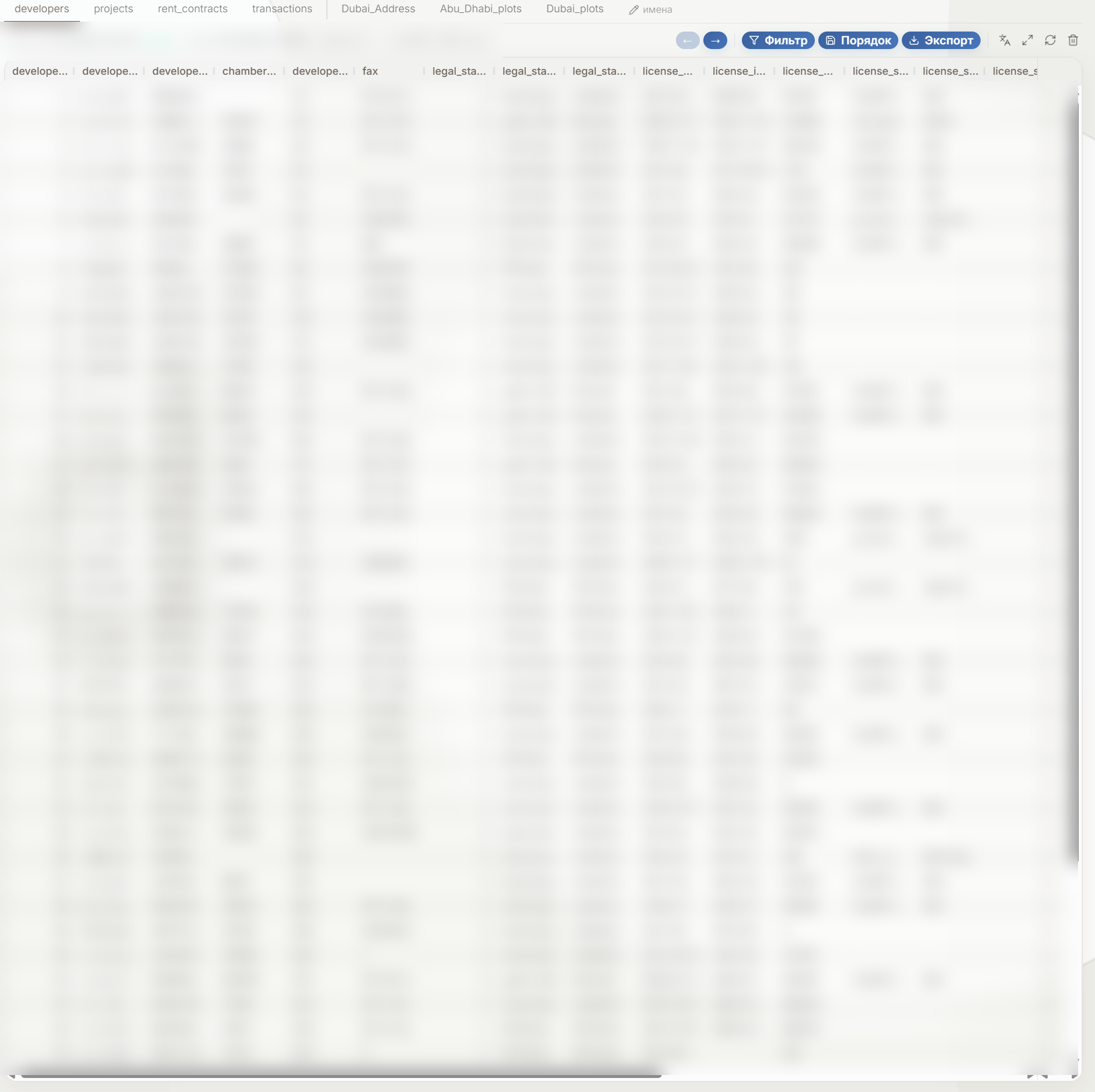 bi_data_table_blur.png