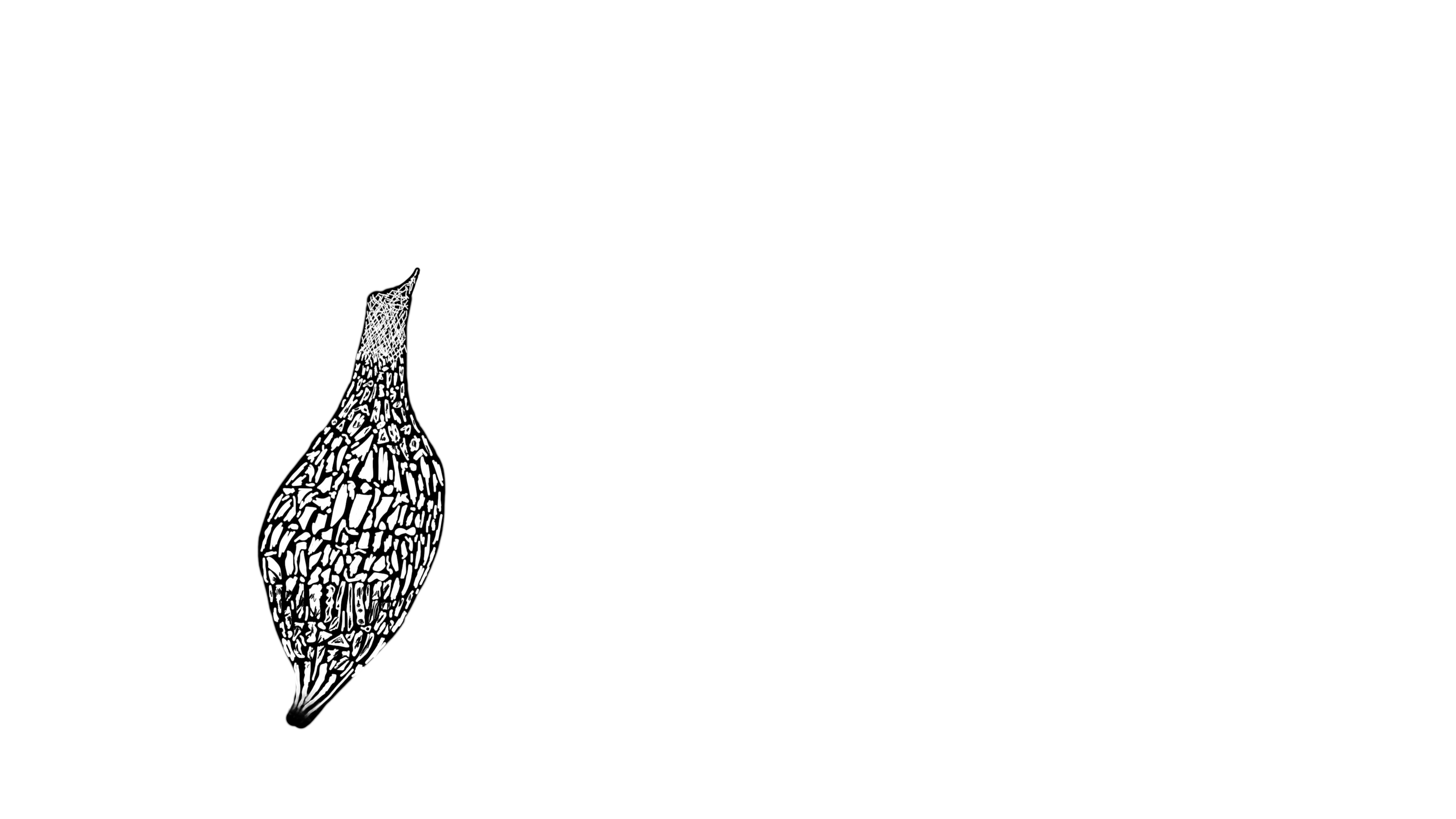 Maniac_Lair_Logo_Trunk.png