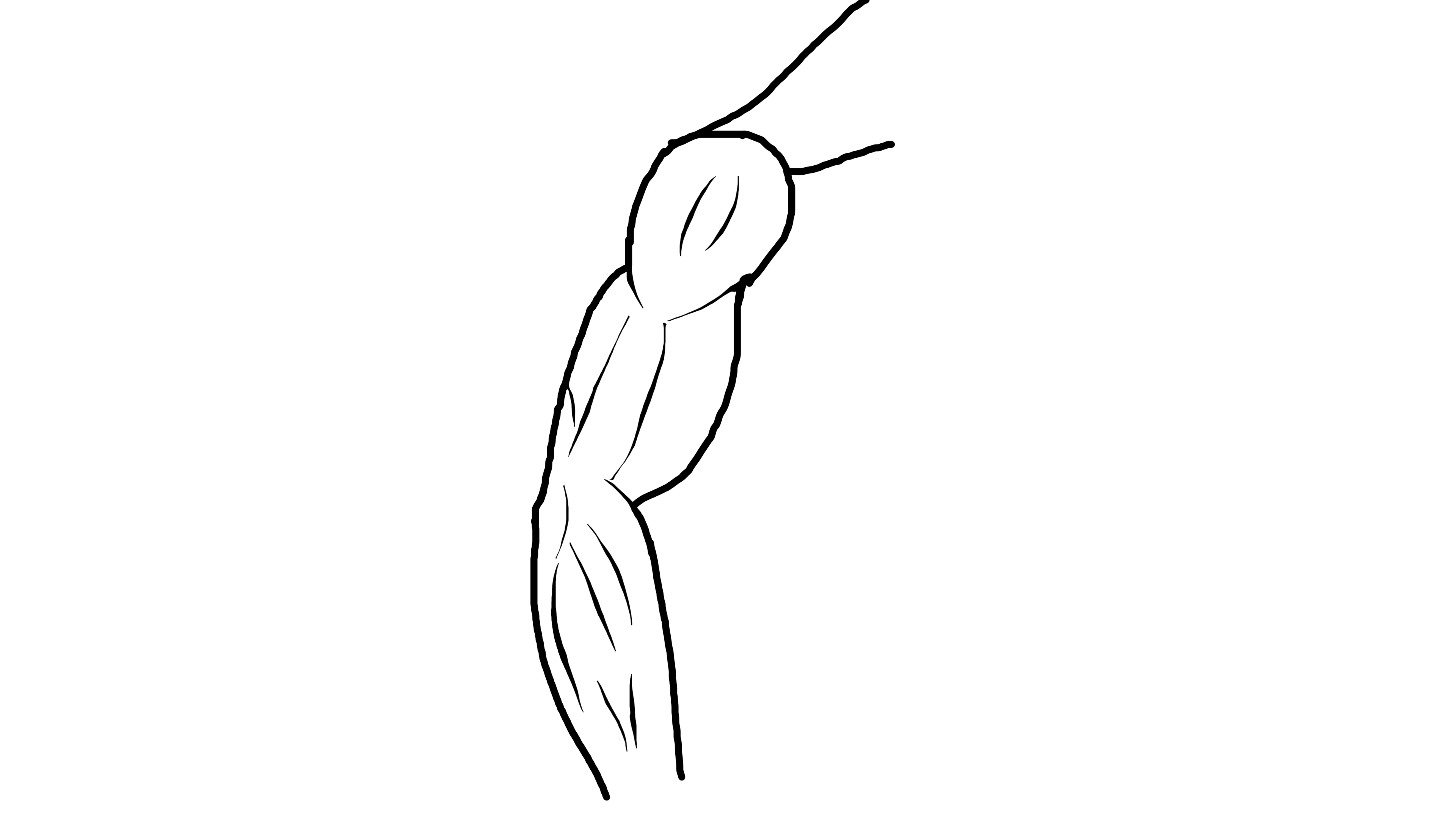 Hand_sketch_6.png