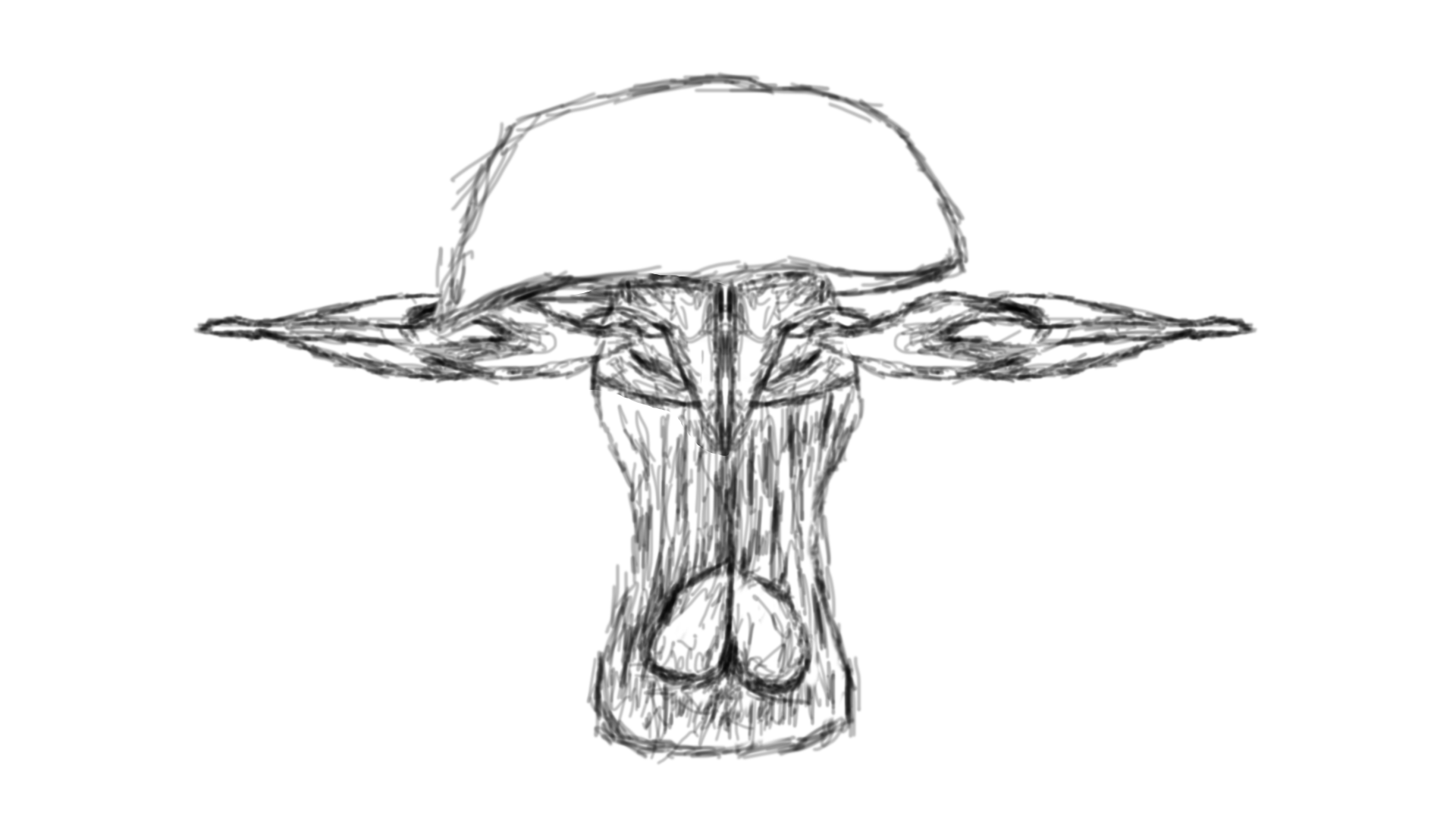 Muchoroum_back.png