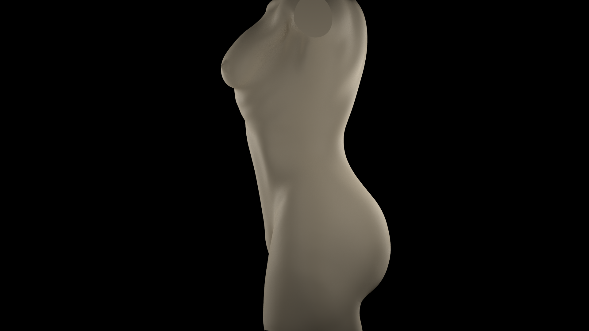 Woman_torso_side.png