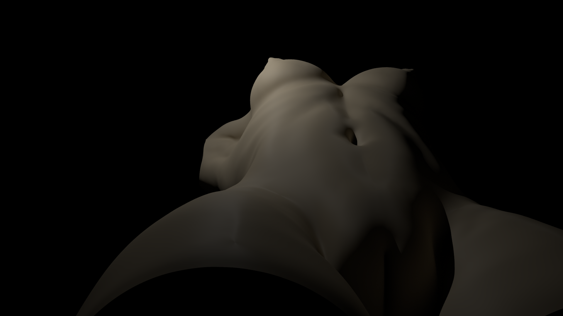 Woman_torso_Erotic_3.png
