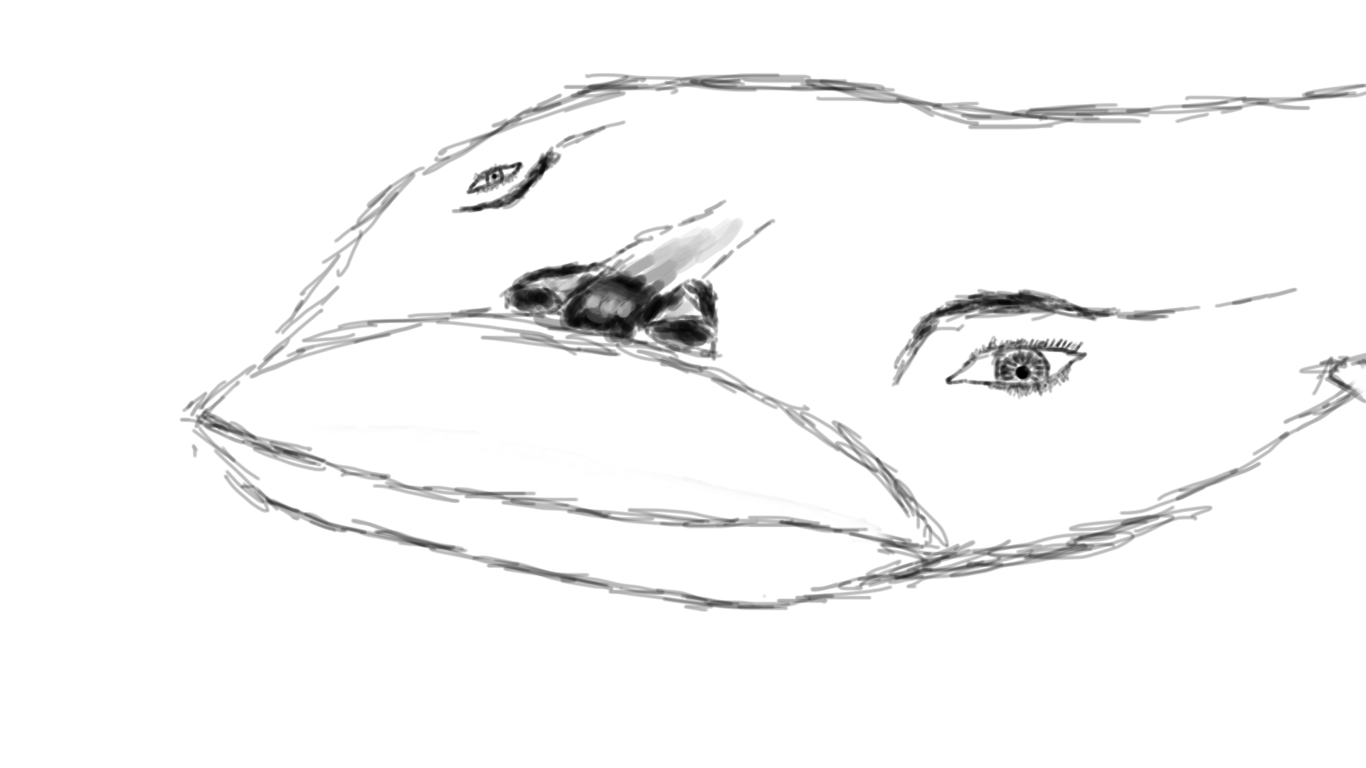 Fish_CH_concept_2.png