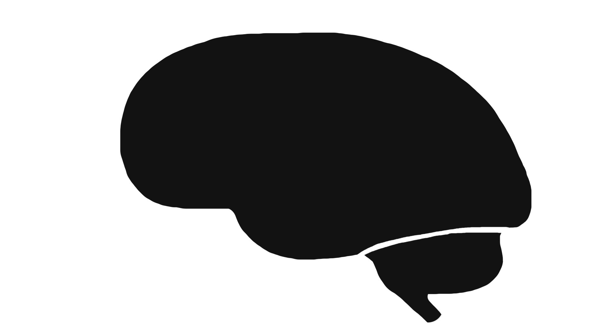 Мозг_оригинал.png
