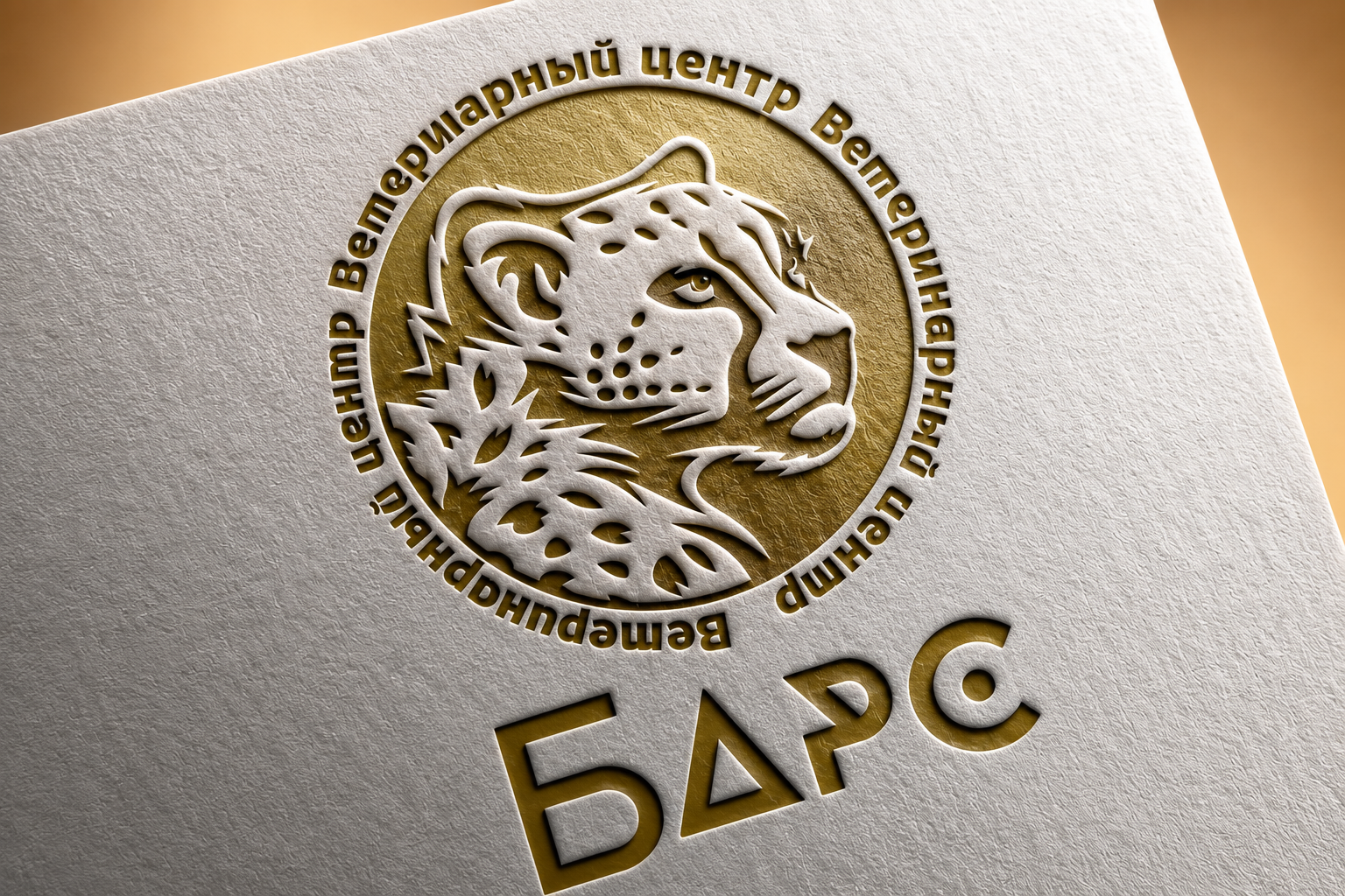 Разработка логотипа для компании БАРС