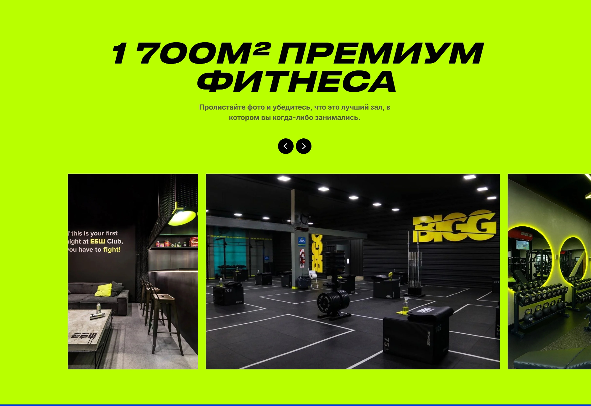 Снимок_экрана_13_7_2026_172225_say_immaculate_krait_tilda_ws.jpeg