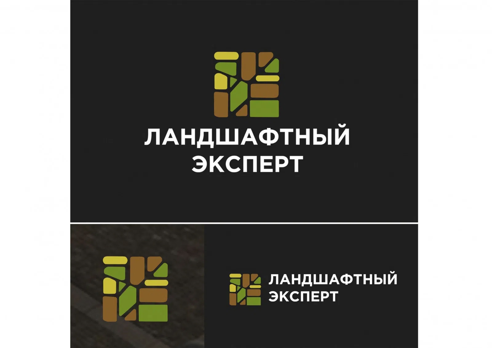 1000056735.jpg