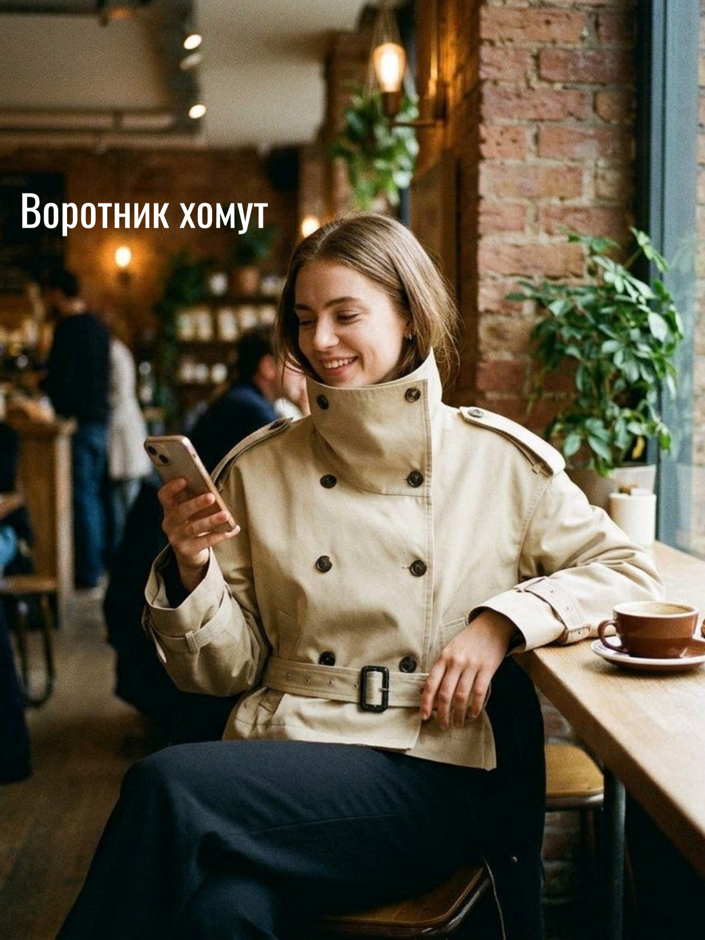 воротник_хомут.png