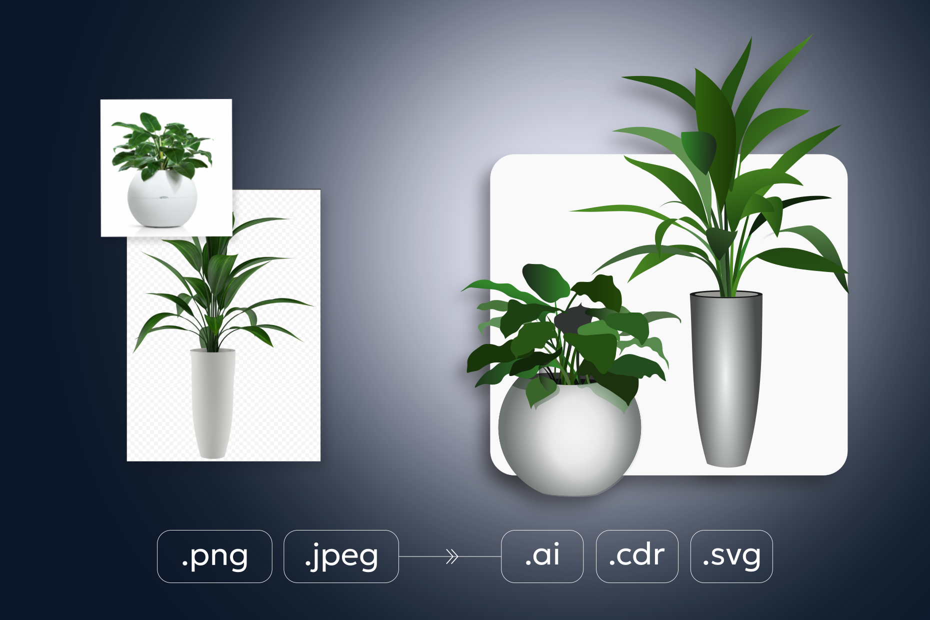 COVER_vector_1240_96_280426_g1158.png